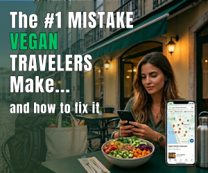 Vegan Travel Toolkit Instagram Style Ad