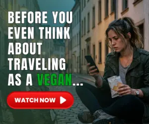 Vegan Travel Toolkit Banner 300x250