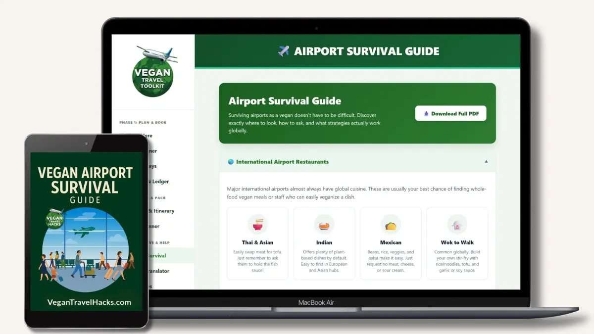 Feature 9 global airport survival guide